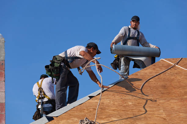 Best Roof Gutter Cleaning  in Temesl Valley, CA